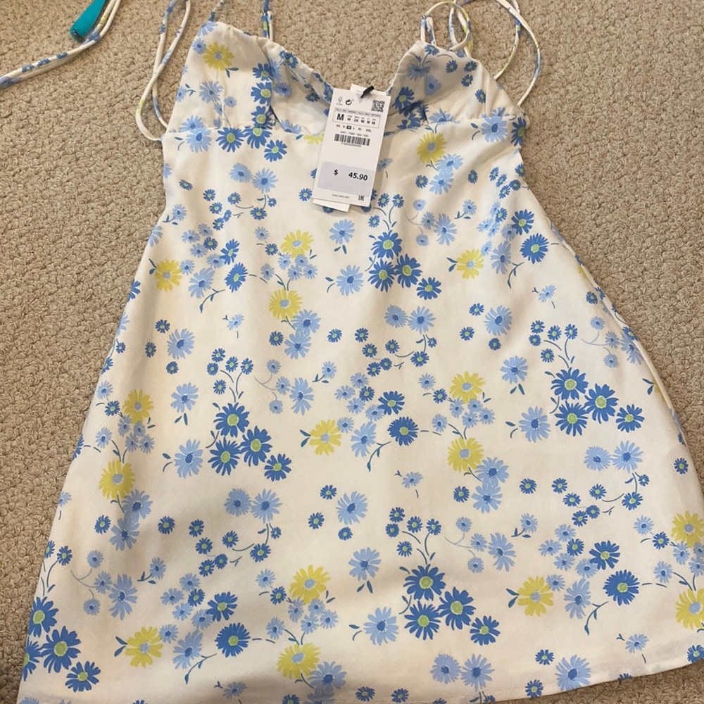 Zara dress